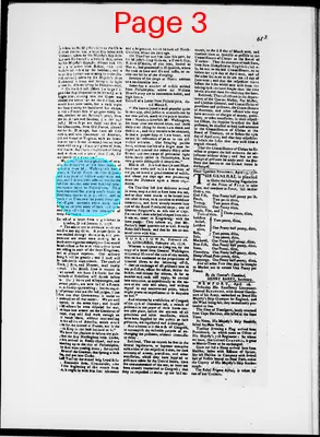 Page thumbnail for The Newport Gazette