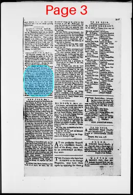 Page thumbnail for The Newport Gazette
