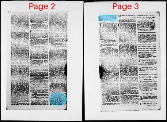 Page thumbnail for The Newport Gazette