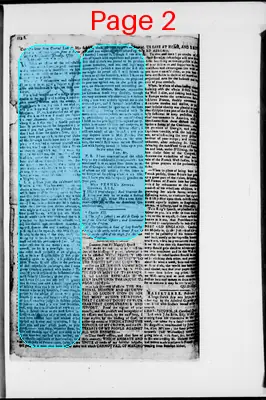 Page thumbnail for The Newport Gazette
