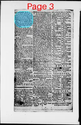 Page thumbnail for The Newport Gazette