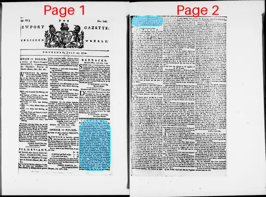 Page thumbnail for The Newport Gazette