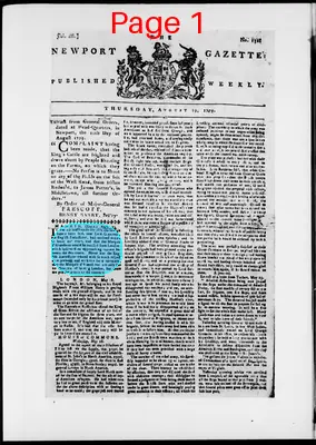 Page thumbnail for The Newport Gazette