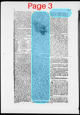 Page thumbnail for The Newport Gazette