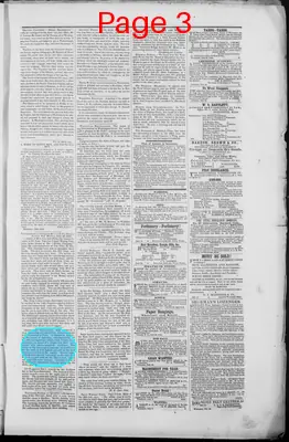 Page thumbnail for The Daily Spy