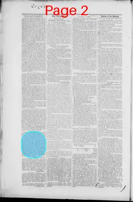 Page thumbnail for The Daily Spy