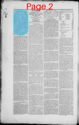 Page thumbnail for The Daily Spy