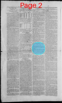 Page thumbnail for The Daily Spy