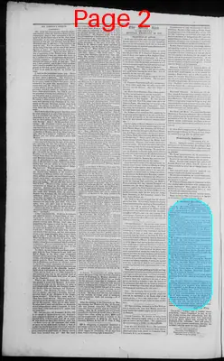 Page thumbnail for The Daily Spy