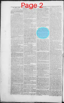 Page thumbnail for The Daily Spy