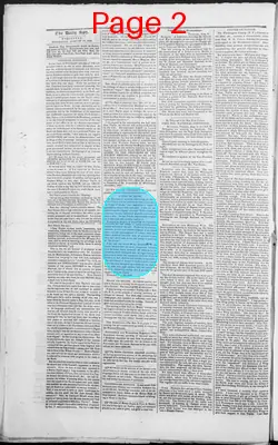 Page thumbnail for The Daily Spy