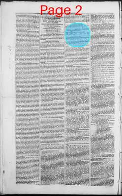 Page thumbnail for The Daily Spy
