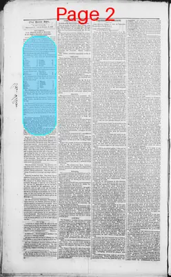 Page thumbnail for The Daily Spy