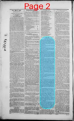 Page thumbnail for The Daily Spy