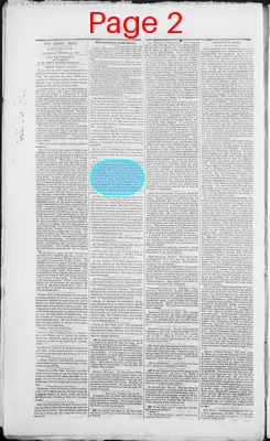Page thumbnail for The Daily Spy
