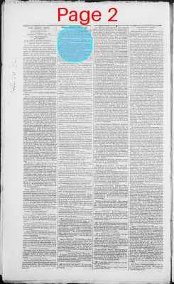 Page thumbnail for The Daily Spy
