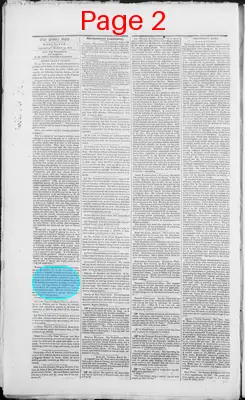 Page thumbnail for The Daily Spy
