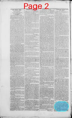 Page thumbnail for The Daily Spy