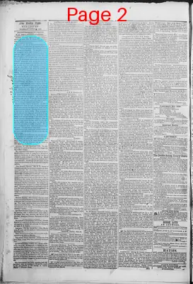 Page thumbnail for The Daily Spy