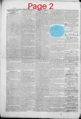Page thumbnail for The Daily Spy