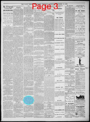 Page thumbnail for Worcester Daily Press