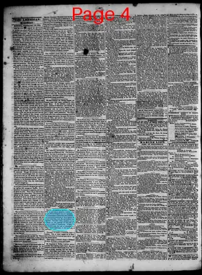 Page thumbnail for Rhode Island American And Gazette