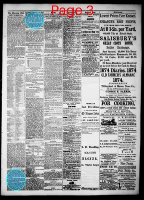 Page thumbnail for Providence Morning Star