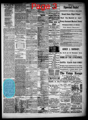 Page thumbnail for Providence Morning Star