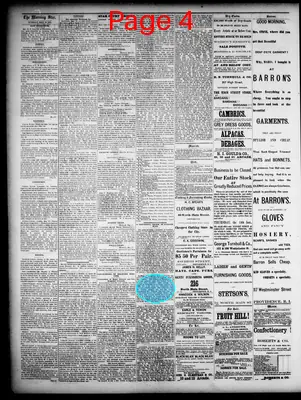 Page thumbnail for Providence Morning Star
