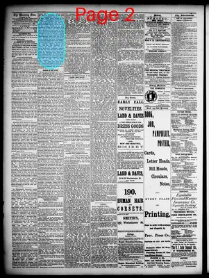 Page thumbnail for Providence Morning Star