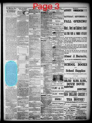 Page thumbnail for Providence Morning Star