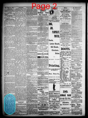 Page thumbnail for Providence Morning Star