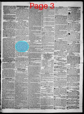 Page thumbnail for Republican Herald