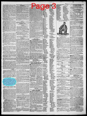 Page thumbnail for Republican Herald