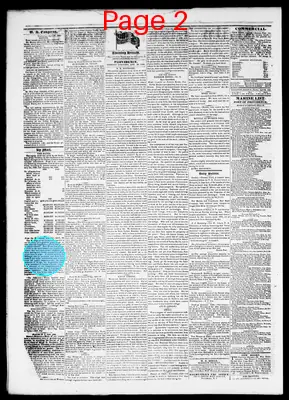 Page thumbnail for Republican Herald