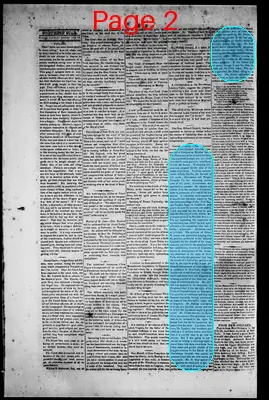 Page thumbnail for Northern Star, And Warren And Bristol Gazette