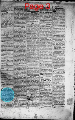 Page thumbnail for Northern Star, And Warren And Bristol Gazette