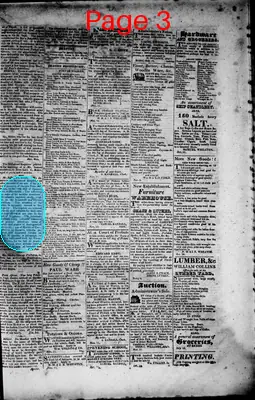 Page thumbnail for Northern Star, And Warren And Bristol Gazette