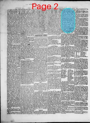 Page thumbnail for The Northern Star, And Constitutionalist