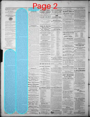 Page thumbnail for The Hawaiian Gazette