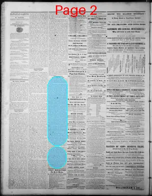 Page thumbnail for The Hawaiian Gazette