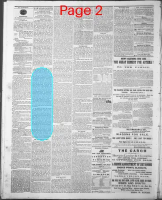Page thumbnail for The Hawaiian Gazette
