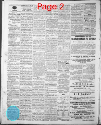 Page thumbnail for The Hawaiian Gazette
