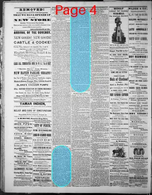Page thumbnail for The Hawaiian Gazette