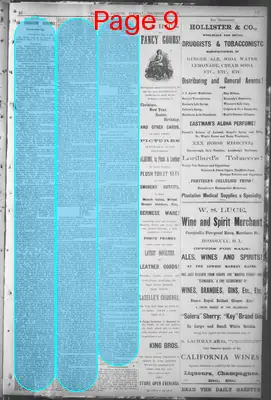 Page thumbnail for The Hawaiian Gazette