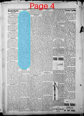 Page thumbnail for The Hawaiian Gazette