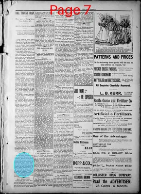 Page thumbnail for The Hawaiian Gazette