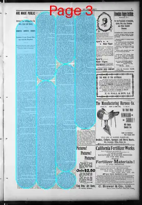 Page thumbnail for The Hawaiian Gazette