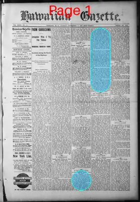 Page thumbnail for The Hawaiian Gazette