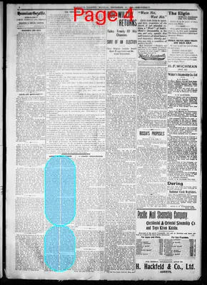 Page thumbnail for The Hawaiian Gazette